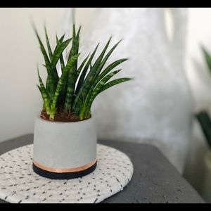 ✨HP✨ Industrial Modern handcrafted cement planter